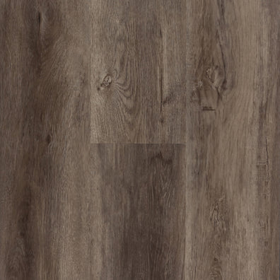 Golden Choice – Charm Oak Snow - 5mm SPC Luxury Vinyl Plank